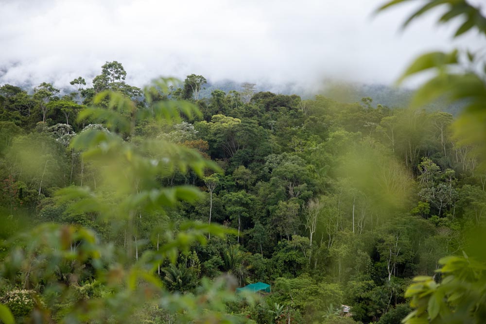 Marlondag - CI Futuros Bosques Maeni 18