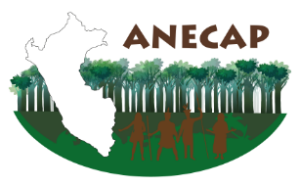 cropped-LOGO_ANECAP-AI-01.png