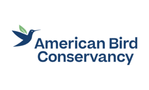 American bird