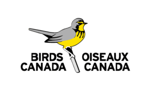 Birds canada
