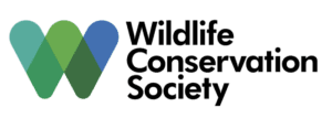 LOGO WCS
