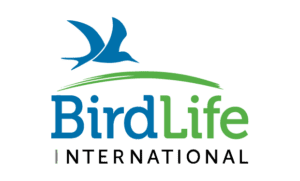 birdlife